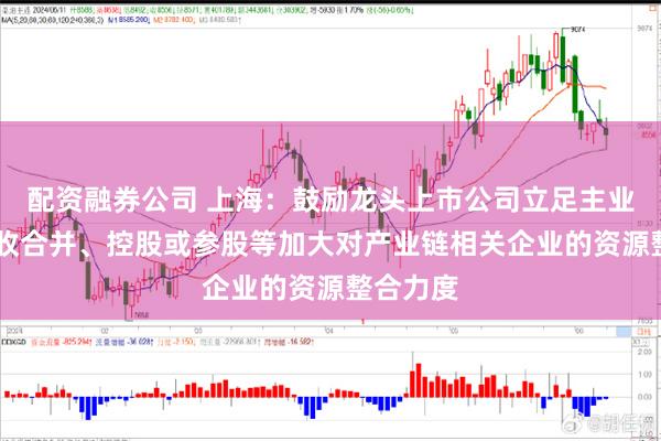 配资融券公司 上海：鼓励龙头上市公司立足主业 通过吸收合并、控股或参股等加大对产业链相关企业的资源整合力度