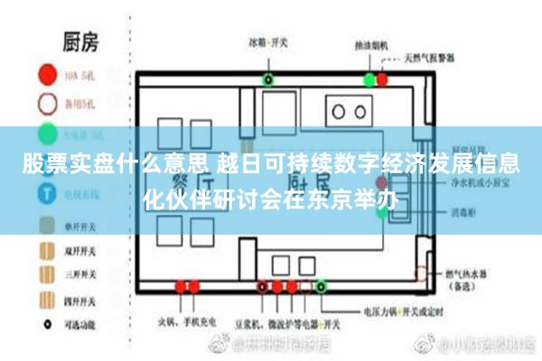 股票实盘什么意思 越日可持续数字经济发展信息化伙伴研讨会在东京举办