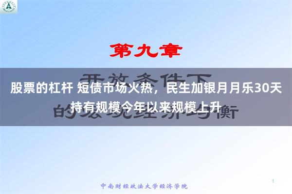 股票的杠杆 短债市场火热，民生加银月月乐30天持有规模今年以来规模上升