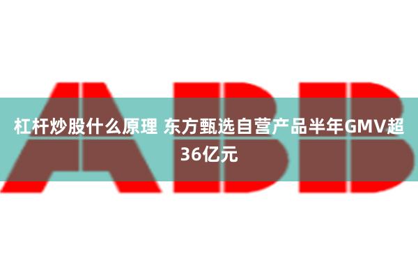 杠杆炒股什么原理 东方甄选自营产品半年GMV超36亿元