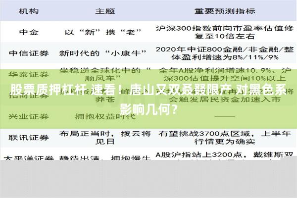 股票质押杠杆 速看！唐山又双叒叕限产 对黑色系影响几何？