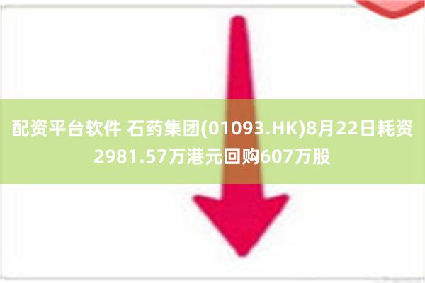 配资平台软件 石药集团(01093.HK)8月22日耗资2981.57万港元回购607万股