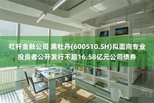 杠杆金融公司 黑牡丹(600510.SH)拟面向专业投资者公开发行不超16.58亿元公司债券