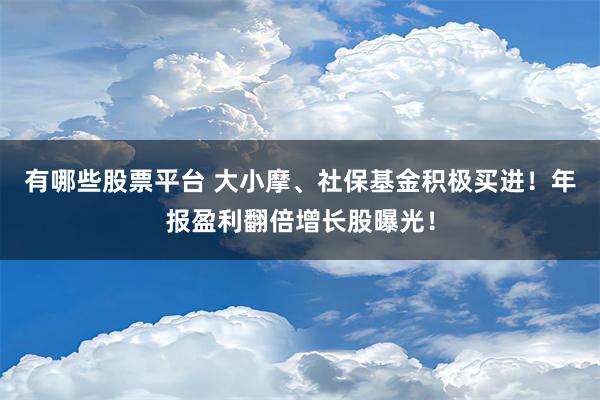 有哪些股票平台 大小摩、社保基金积极买进！年报盈利翻倍增长股曝光！