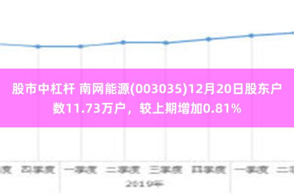 股市中杠杆 南网能源(003035)12月20日股东户数11.73万户，较上期增加0.81%