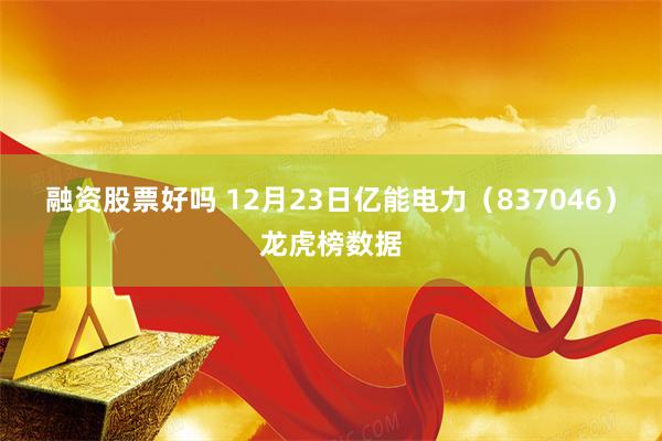 融资股票好吗 12月23日亿能电力（837046）龙虎榜数据