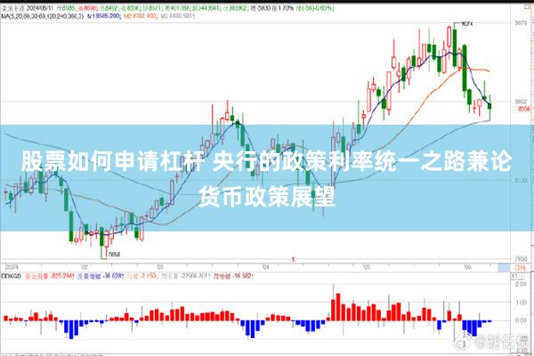 股票如何申请杠杆 央行的政策利率统一之路兼论货币政策展望